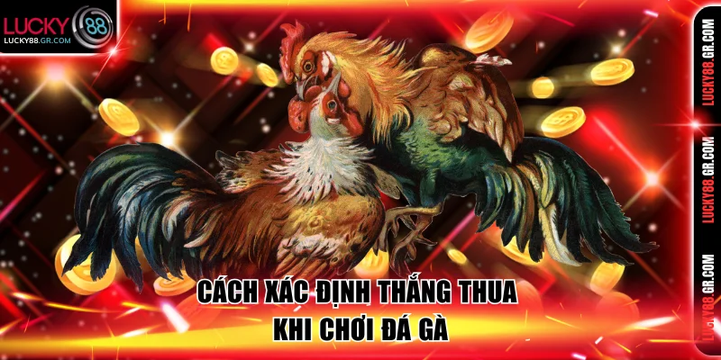 Cách xác định thắng thua khi chơi đá gà.