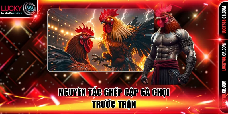 Nguyên tắc ghép cặp gà chọi trước trận